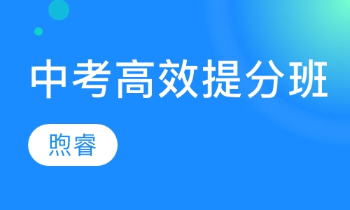 中考高效提分班