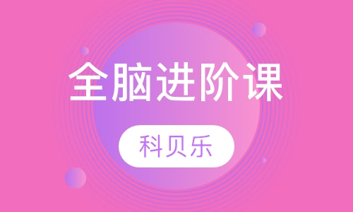 全脑进阶课
