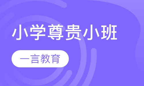 小学辅导尊贵小班