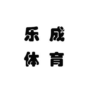 深圳乐成体育培训