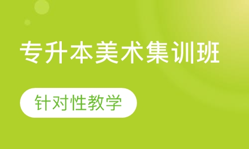 专升本美术集训班