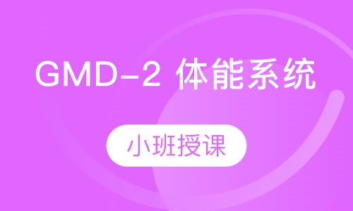 GMD-2 体能系统