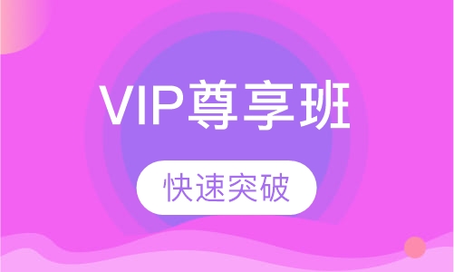 VIP尊享班