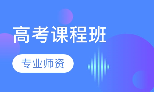 高考课程班