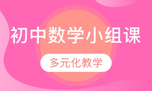 初中数学小组课