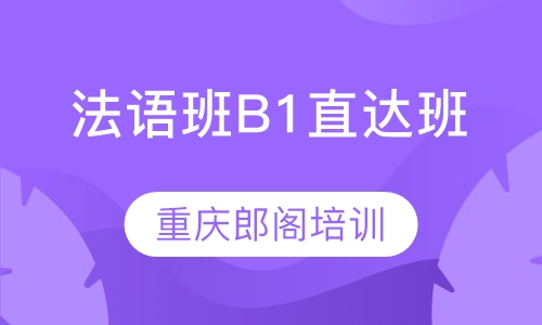 法语班B1直达班