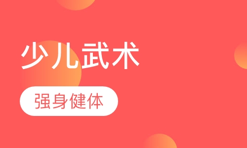 少儿武术