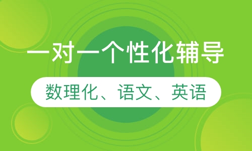 一对一个性化辅导