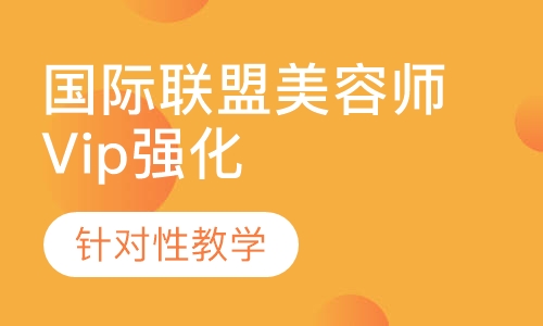 国际联盟师Vip强化班