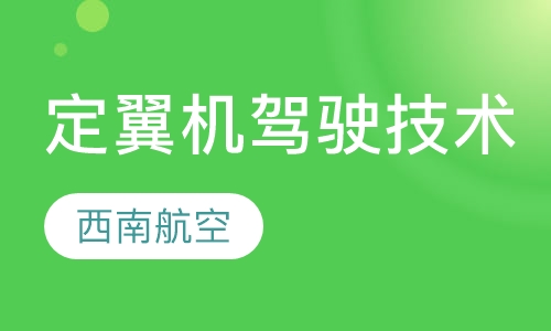 定翼机驾驶技术