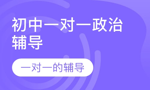 初中一对一政治辅导