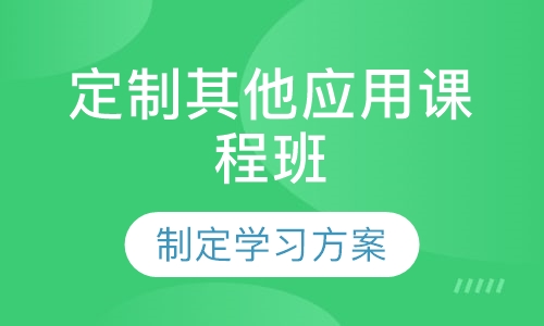 定制其他无人机应用课程班