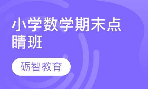小学数学期末点睛班