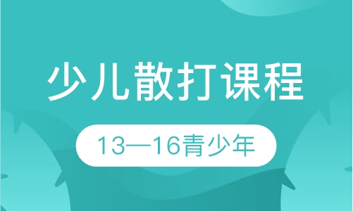 少儿散打课程