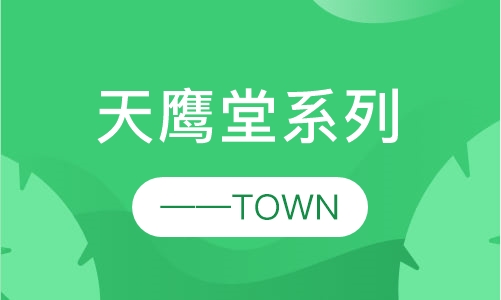 天鹰堂系列——TOWN