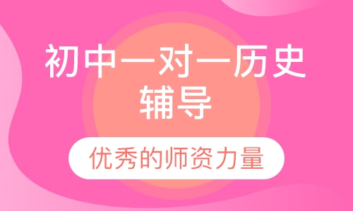 初中一对一历史辅导