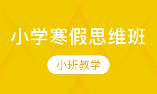小学寒假思维班