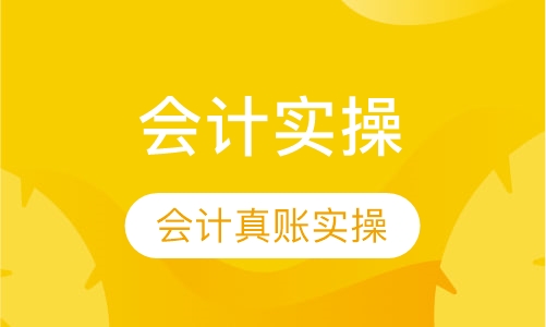 会计实操