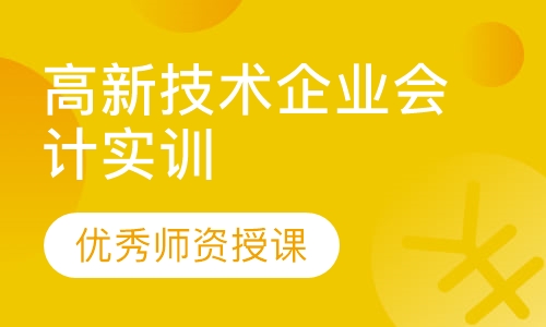 高新技术企业会计实训