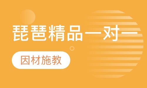 琵琶精品一对一课程
