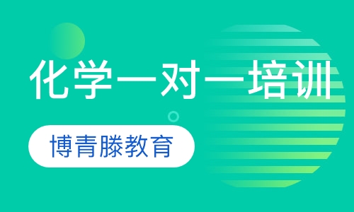 化学一对一培训