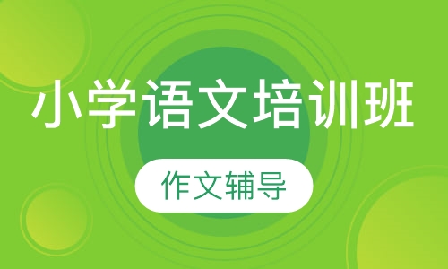 小学语文培训班