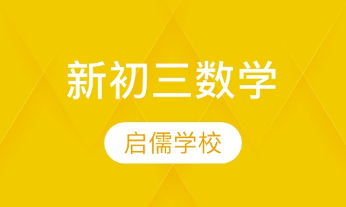 新初三数学辅导班