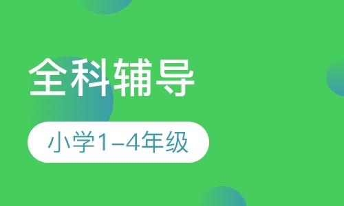 小学1-4年级一对一全科辅导