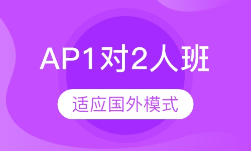 AP课程1对2人班