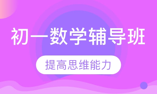 初一数学辅导班