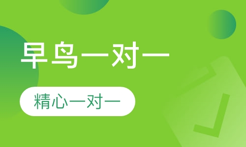 早鸟一对一辅导