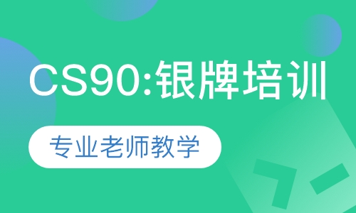 CS90: USACO银牌等级培训