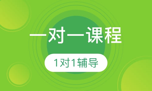 小学五年级数学vip一对一课程