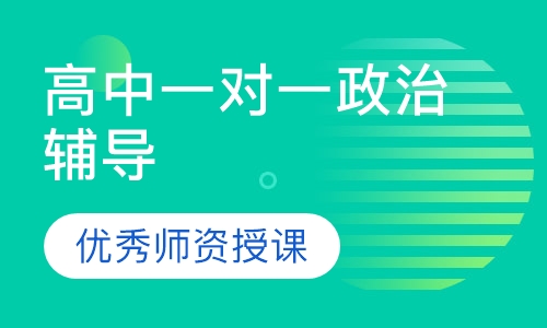 高中一对一政治辅导