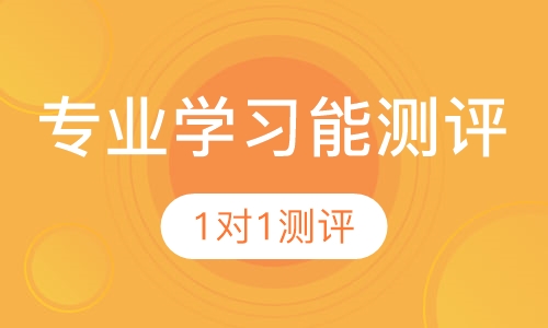1对1 专业学习能力测评