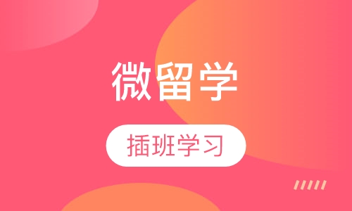 微留学”中、小学插班学习