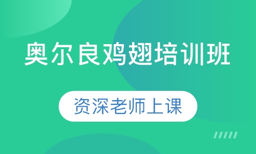 奥尔良鸡翅培训班