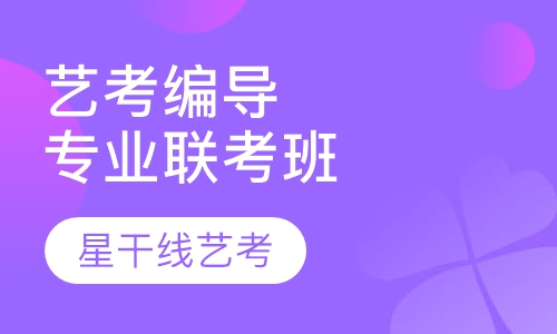 艺考编导专业联考特训强化班