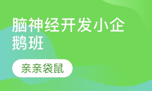 脑神经开发小企鹅班