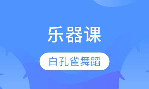 乐器课