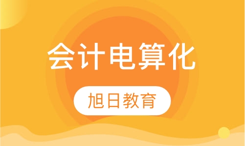 会计电算化