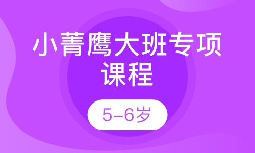 5-6岁 小菁鹰大班专项课程