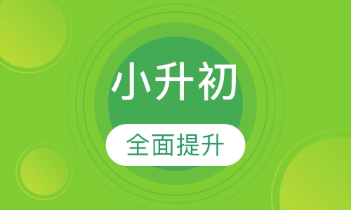 小升初全面提升