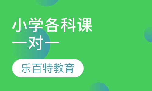 小学各科课程钻石一对一