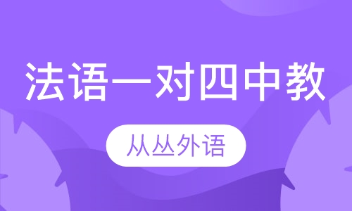 法语一对四（中教）