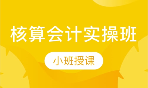 双师课+录播课+直播课核算会计实操班