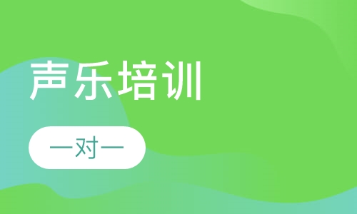 声乐一对一（一年）