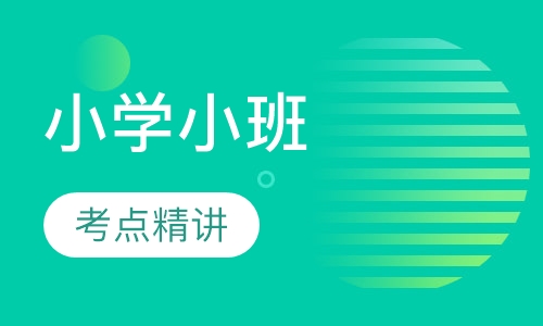 小学小班辅导