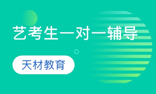 艺考生一对一辅导