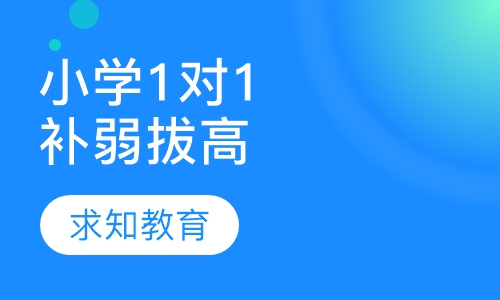 小学1对1：补弱培优拔高